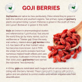 Poudre d&#39;extrait de baies de Goji biologique